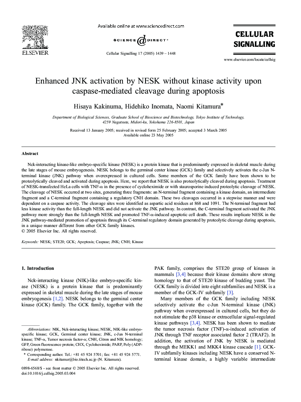 Enhanced JNK activation by NESK without kinase activity upon caspase-mediated cleavage during apoptosis