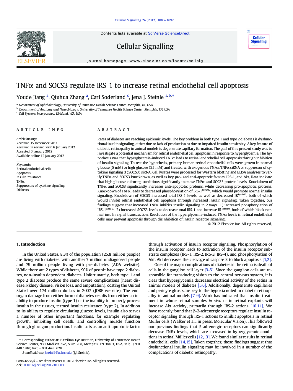 TNFÎ± and SOCS3 regulate IRS-1 to increase retinal endothelial cell apoptosis