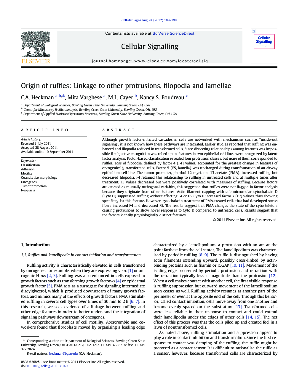 Origin of ruffles: Linkage to other protrusions, filopodia and lamellae