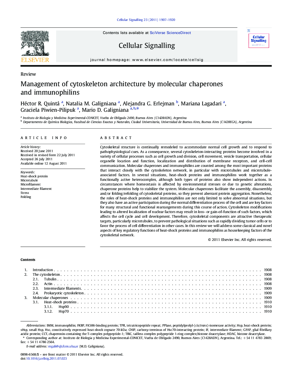 Management of cytoskeleton architecture by molecular chaperones and immunophilins