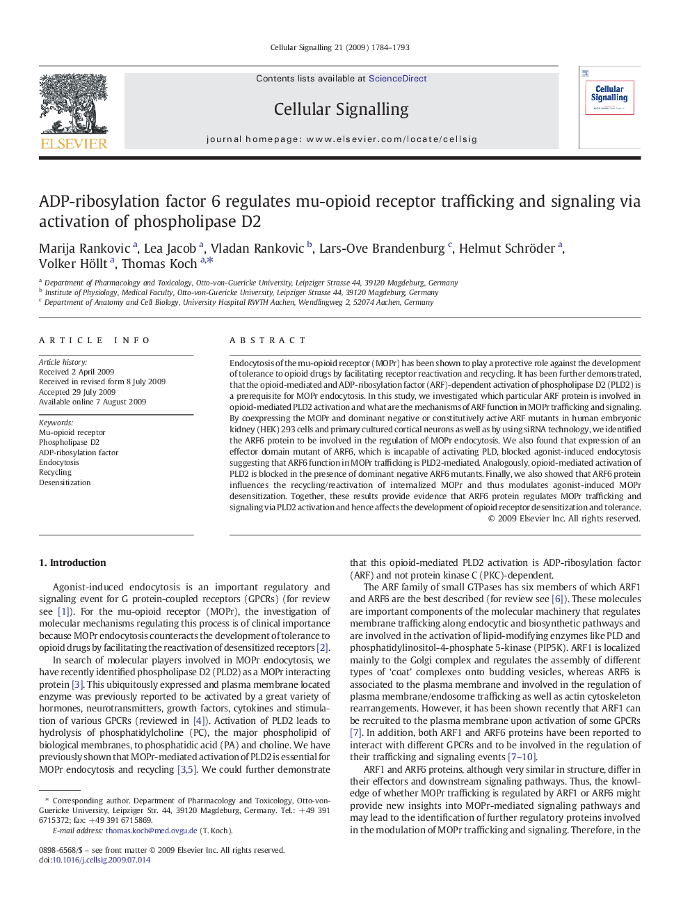 ADP-ribosylation factor 6 regulates mu-opioid receptor trafficking and signaling via activation of phospholipase D2