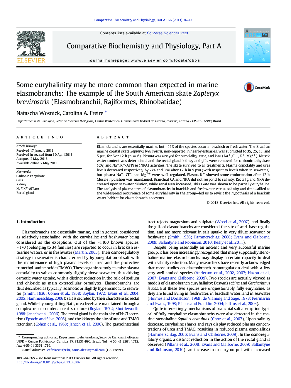 Some euryhalinity may be more common than expected in marine elasmobranchs: The example of the South American skate Zapteryx brevirostris (Elasmobranchii, Rajiformes, Rhinobatidae)