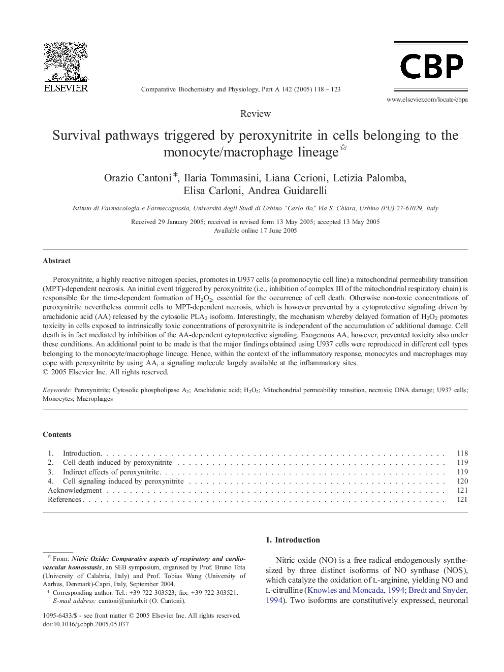 Survival pathways triggered by peroxynitrite in cells belonging to the monocyte/macrophage lineage