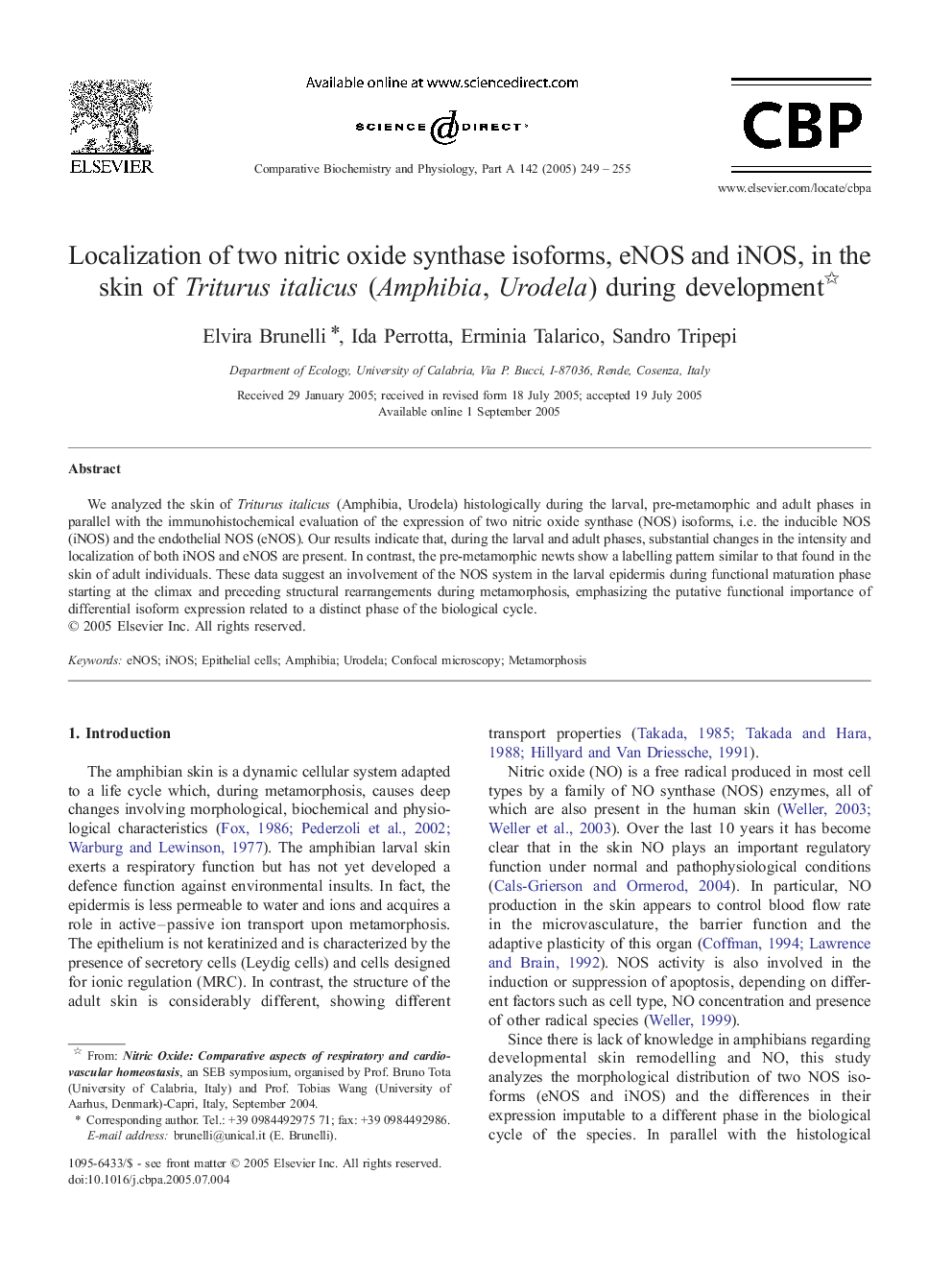 Localization of two nitric oxide synthase isoforms, eNOS and iNOS, in the skin of Triturus italicus (Amphibia, Urodela) during development