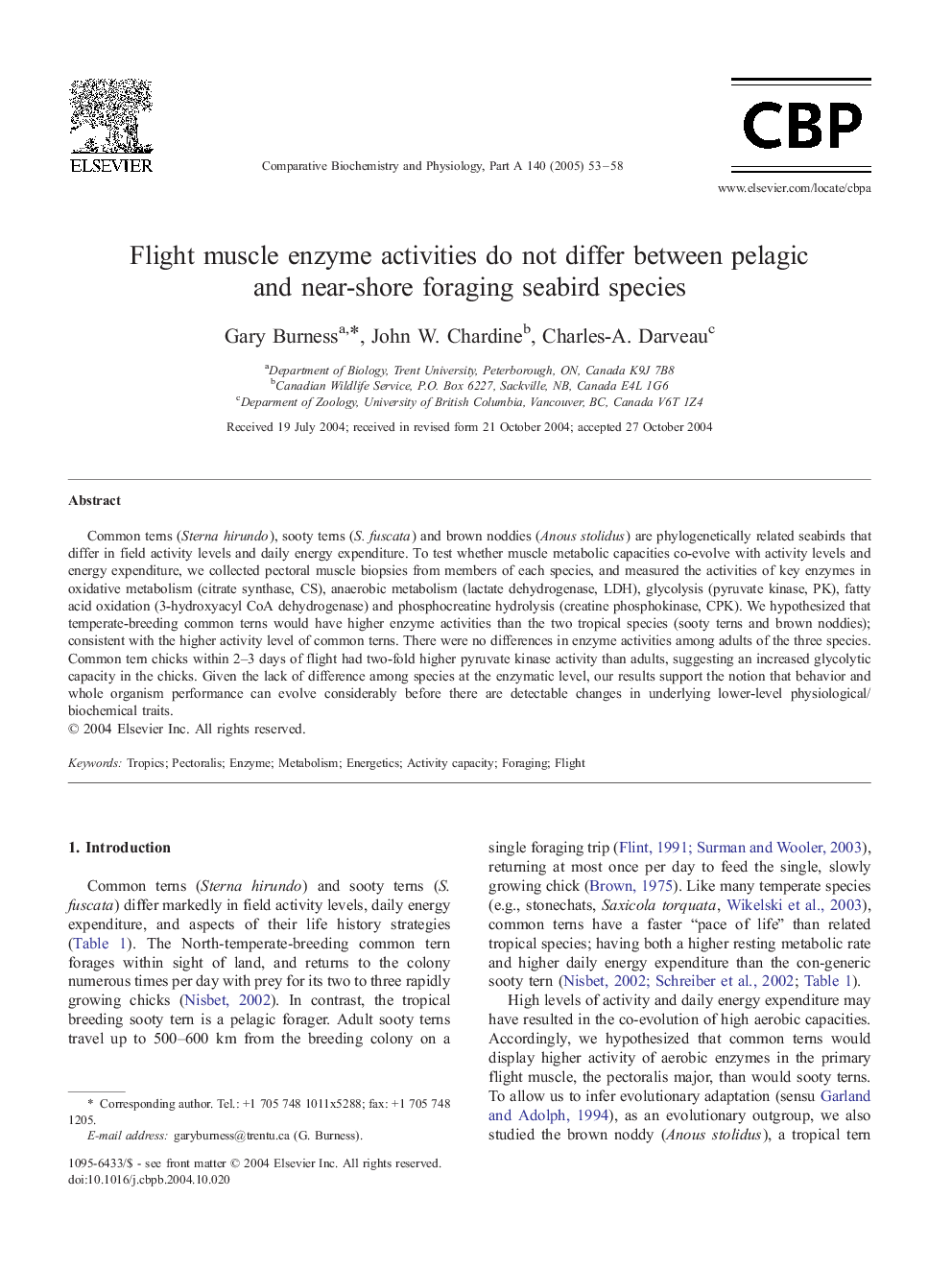 Flight muscle enzyme activities do not differ between pelagic and near-shore foraging seabird species