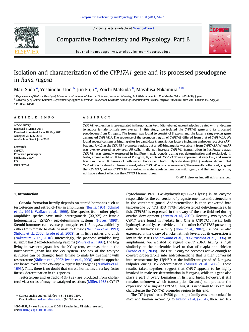 Isolation and characterization of the CYP17A1 gene and its processed pseudogene in Rana rugosa