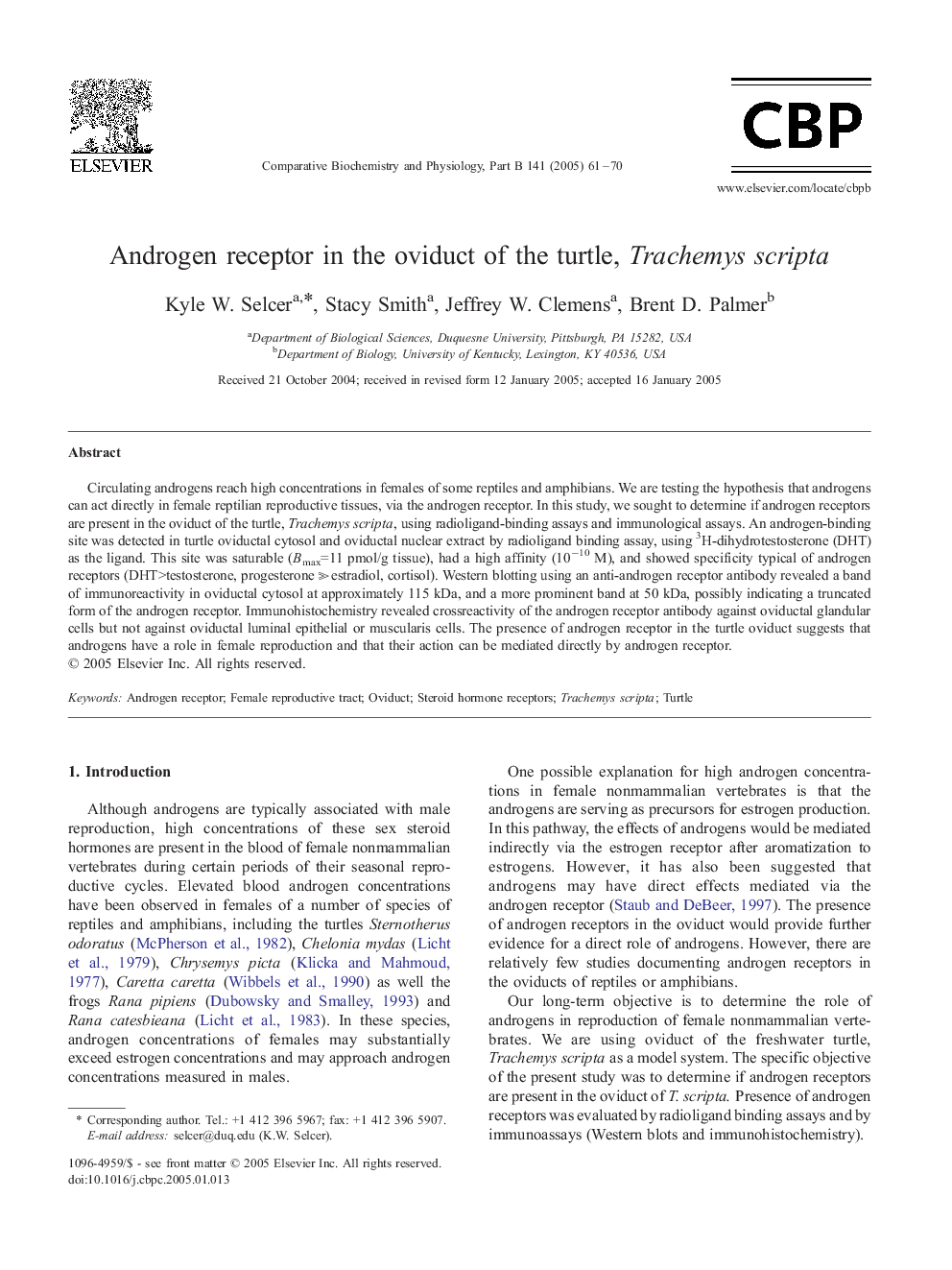 Androgen receptor in the oviduct of the turtle, Trachemys scripta