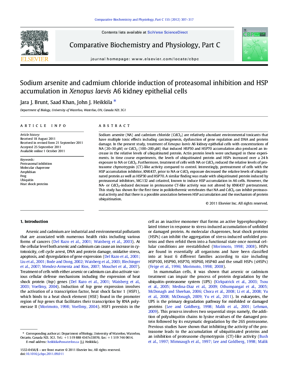 Sodium arsenite and cadmium chloride induction of proteasomal inhibition and HSP accumulation in Xenopus laevis A6 kidney epithelial cells