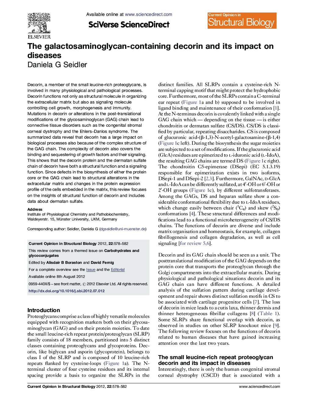 The galactosaminoglycan-containing decorin and its impact on diseases