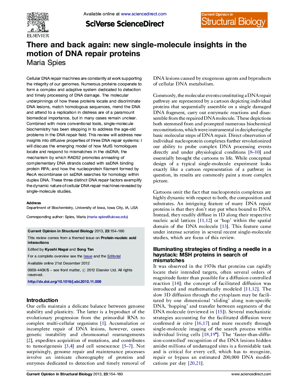 There and back again: new single-molecule insights in the motion of DNA repair proteins