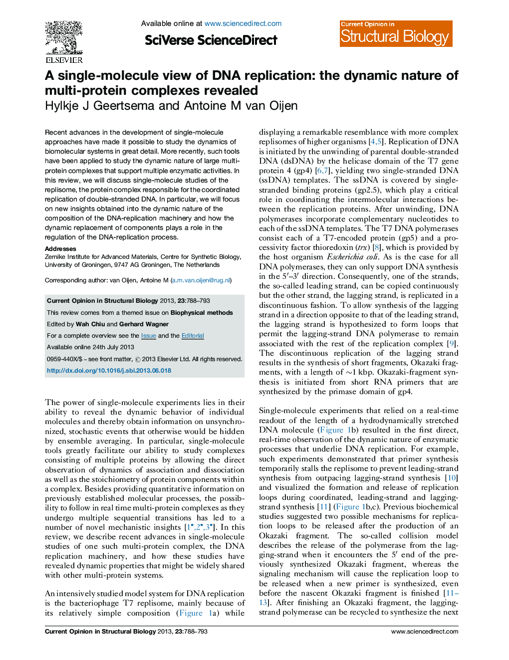 A single-molecule view of DNA replication: the dynamic nature of multi-protein complexes revealed