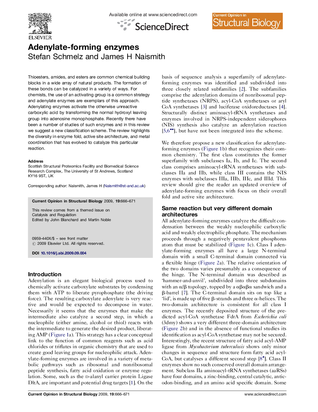 Adenylate-forming enzymes