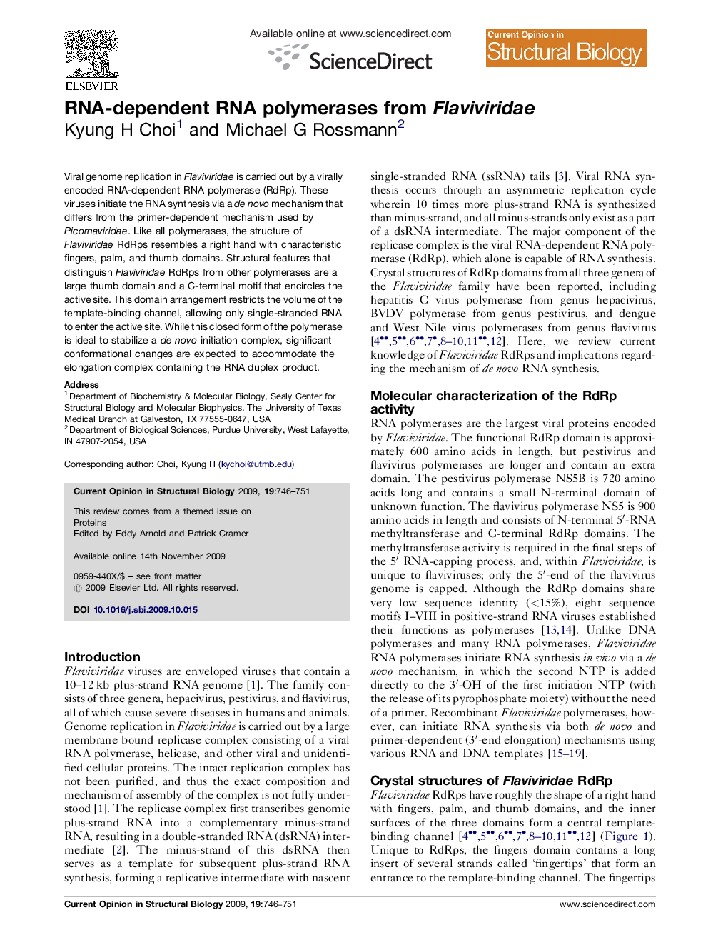 RNA-dependent RNA polymerases from Flaviviridae