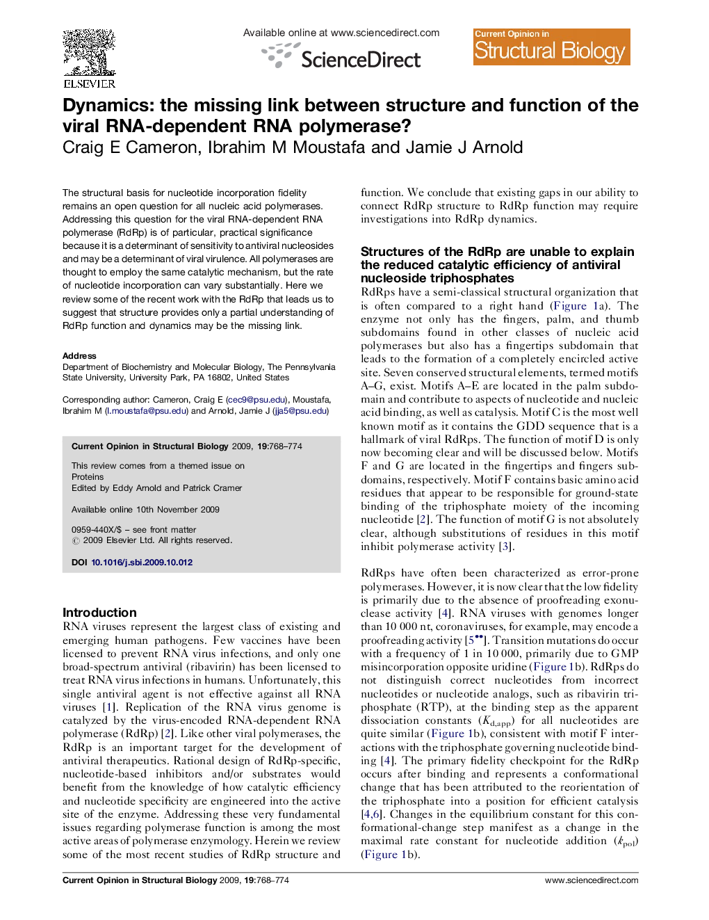 Dynamics: the missing link between structure and function of the viral RNA-dependent RNA polymerase?