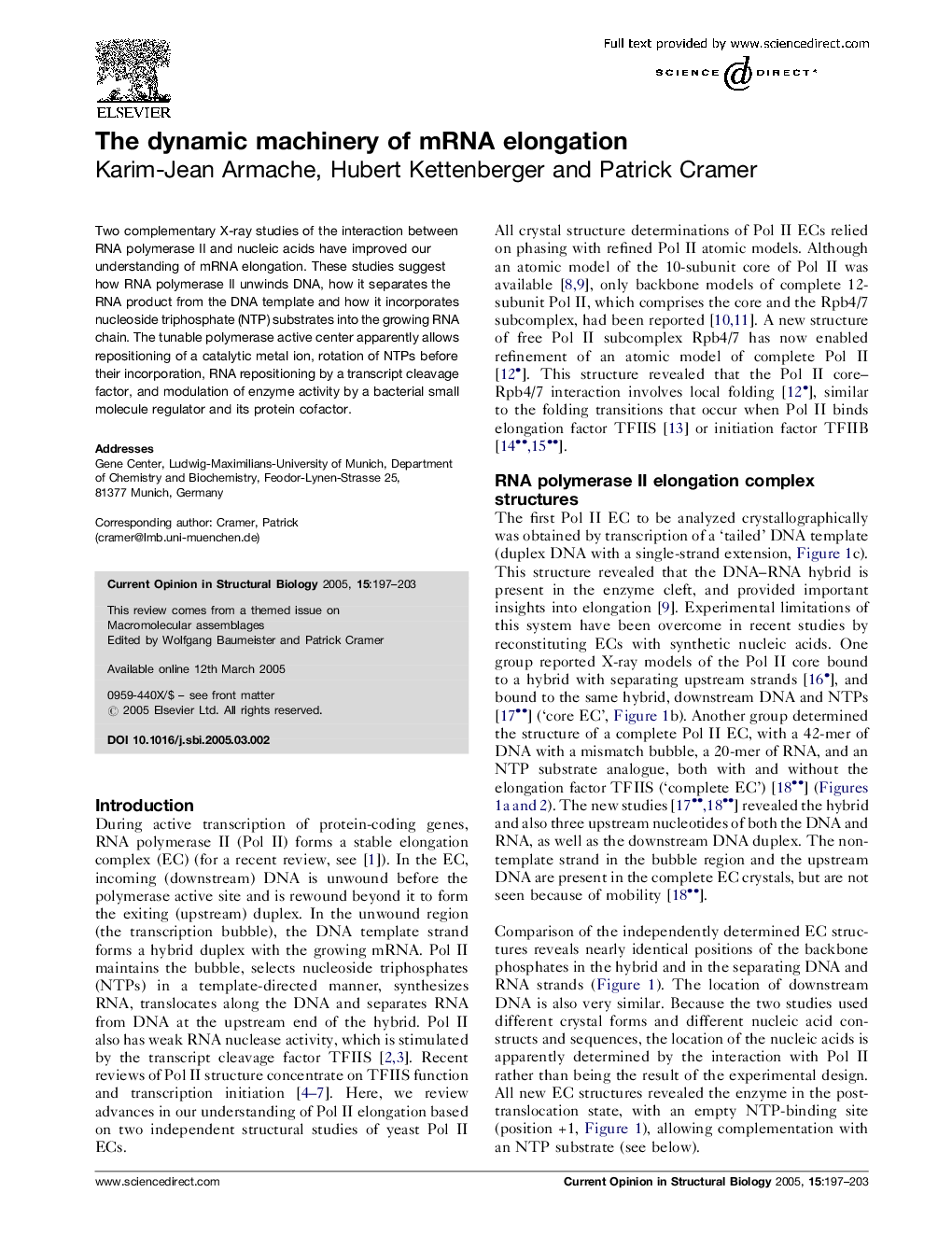 The dynamic machinery of mRNA elongation