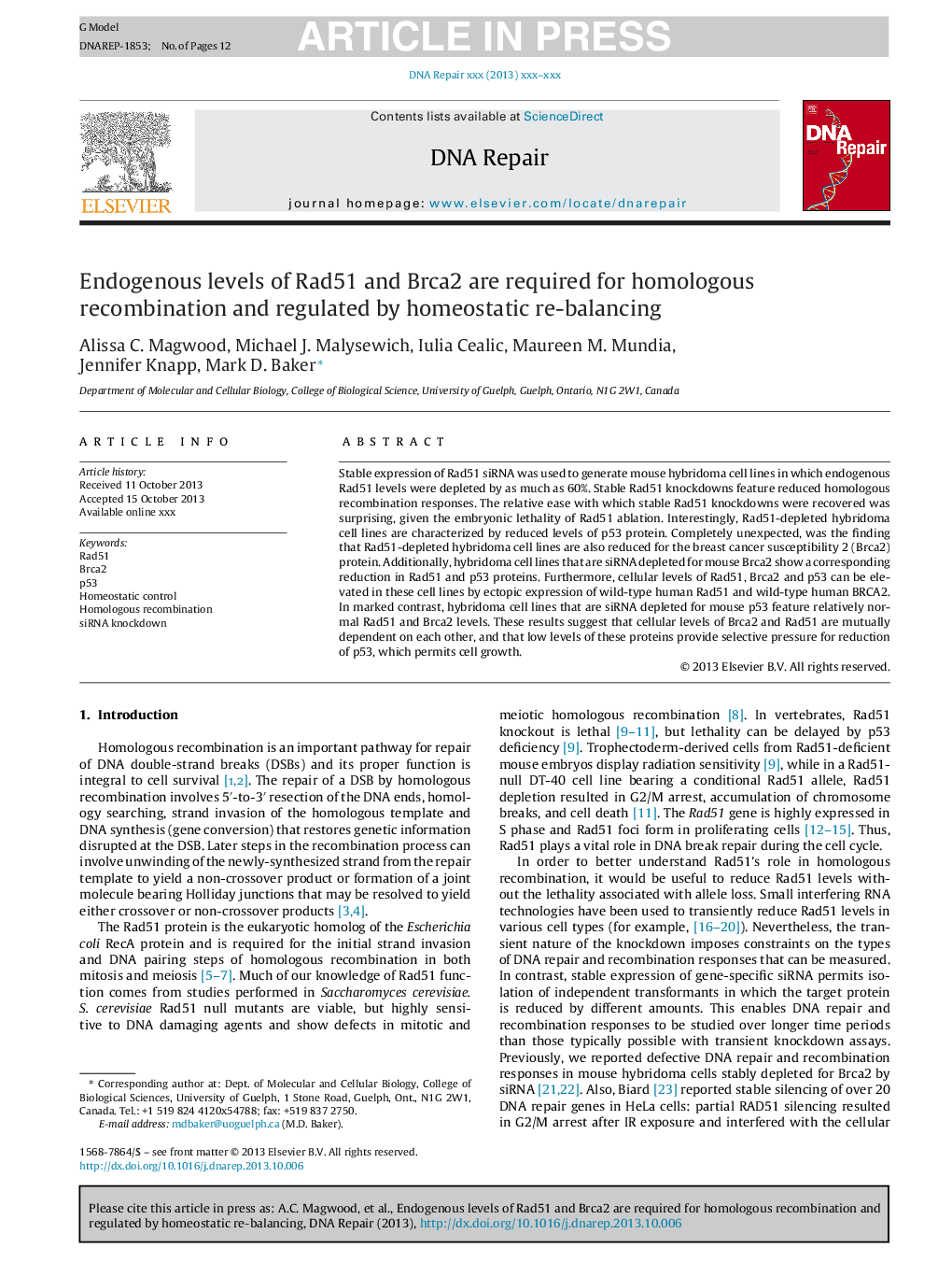 Endogenous levels of Rad51 and Brca2 are required for homologous recombination and regulated by homeostatic re-balancing