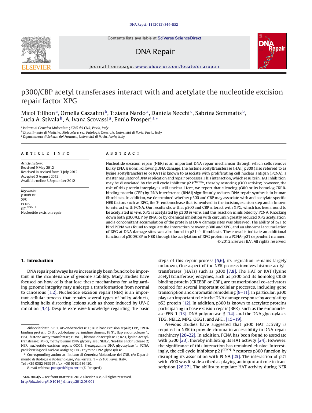 p300/CBP acetyl transferases interact with and acetylate the nucleotide excision repair factor XPG