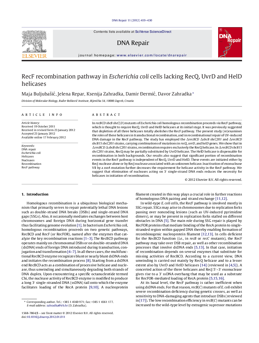 RecF recombination pathway in Escherichia coli cells lacking RecQ, UvrD and HelD helicases