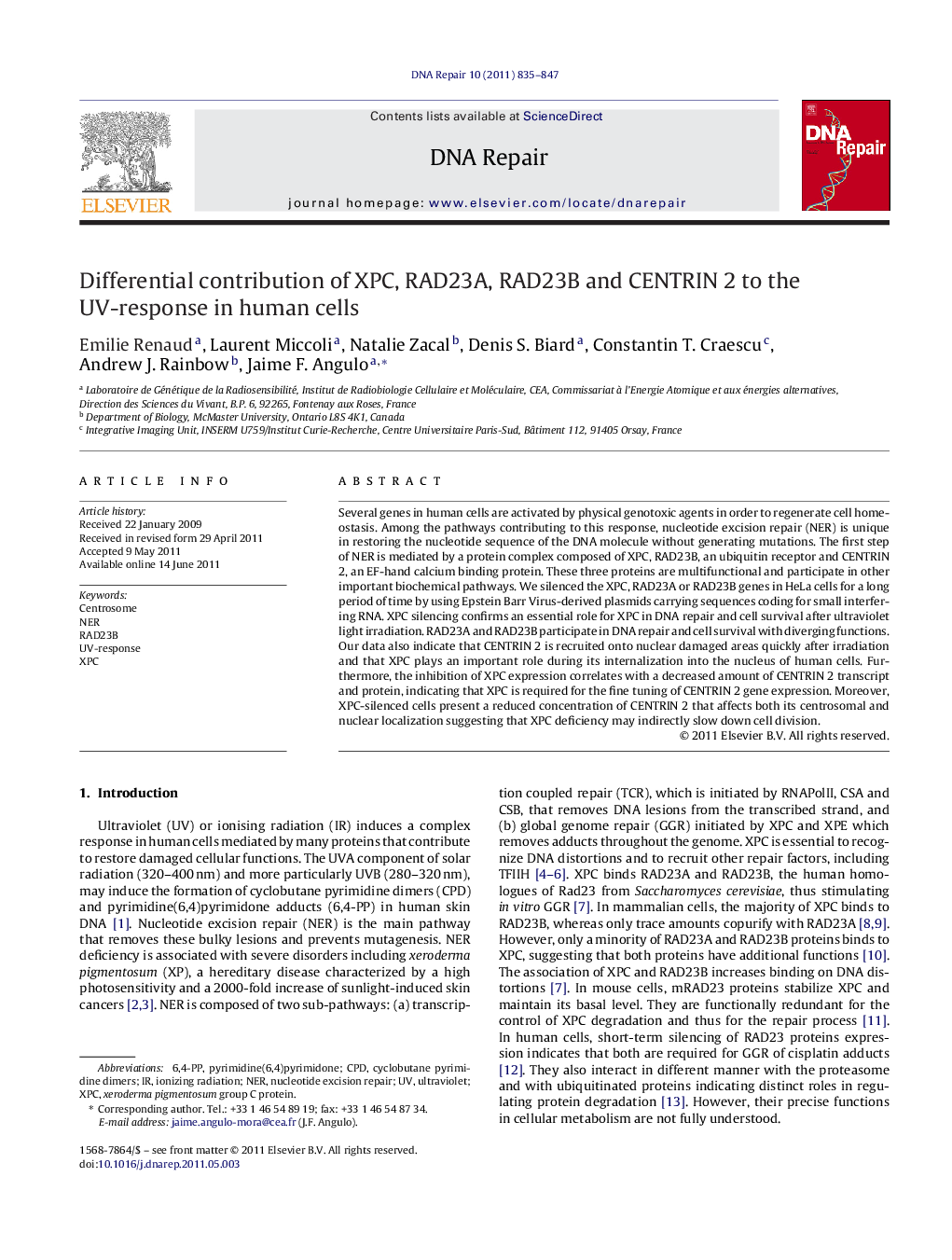 Differential contribution of XPC, RAD23A, RAD23B and CENTRIN 2 to the UV-response in human cells