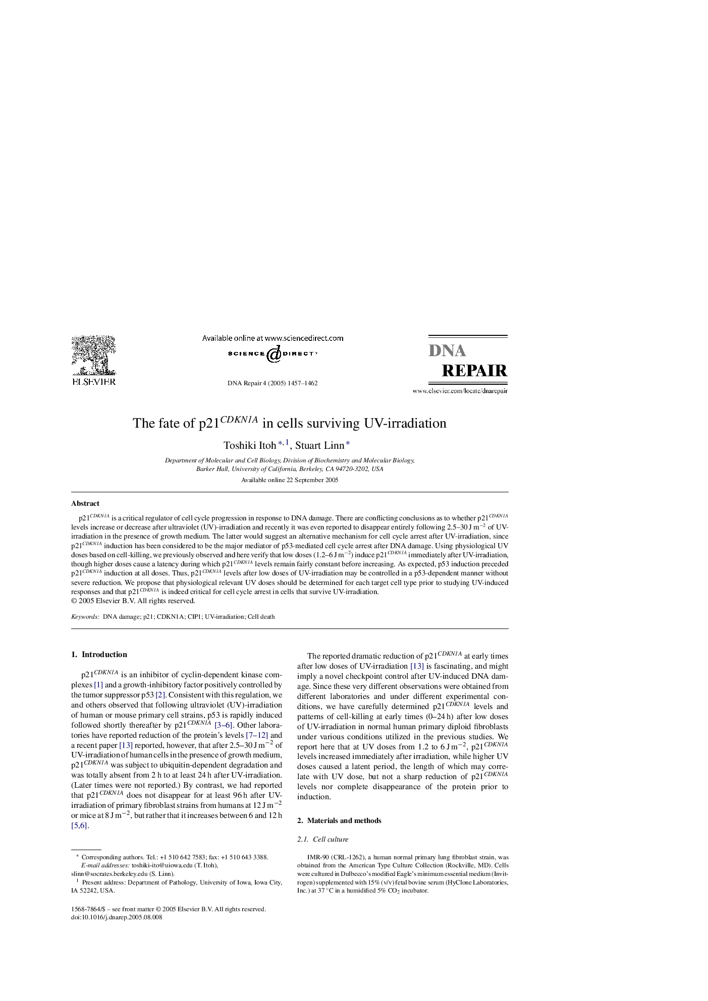 The fate of p21CDKN1A in cells surviving UV-irradiation