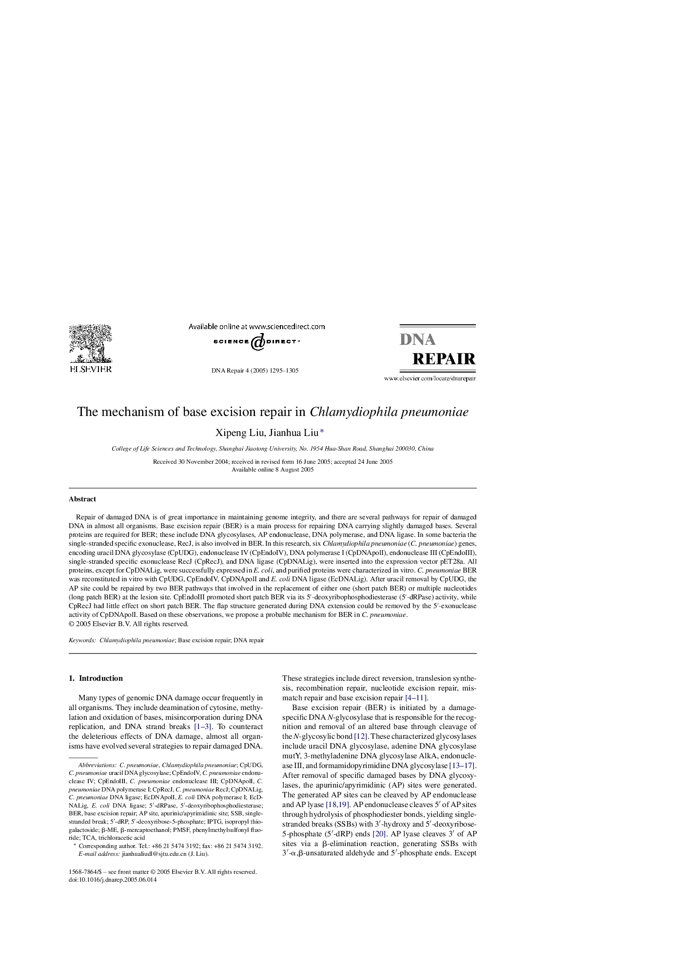 The mechanism of base excision repair in Chlamydiophila pneumoniae