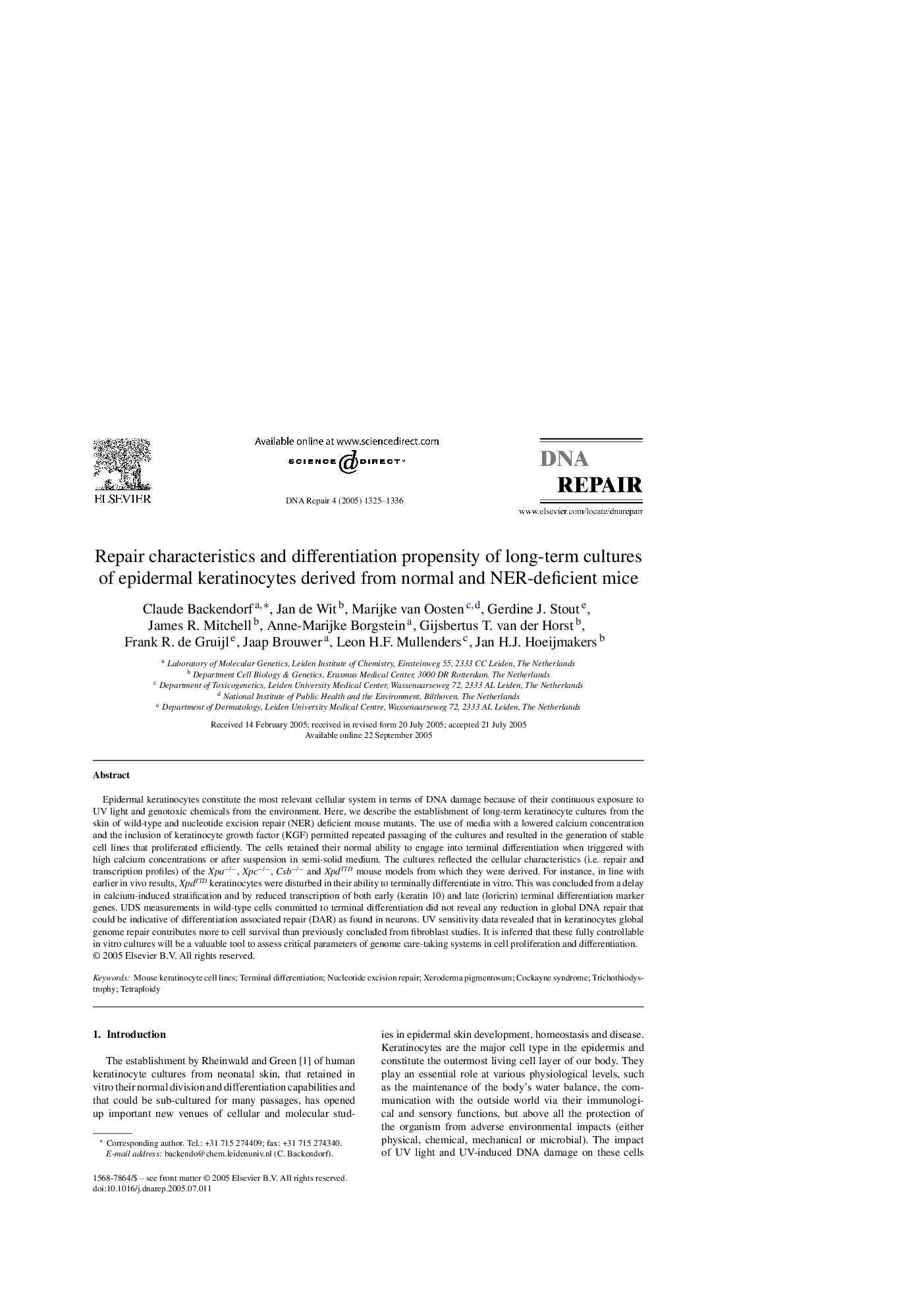 Repair characteristics and differentiation propensity of long-term cultures of epidermal keratinocytes derived from normal and NER-deficient mice