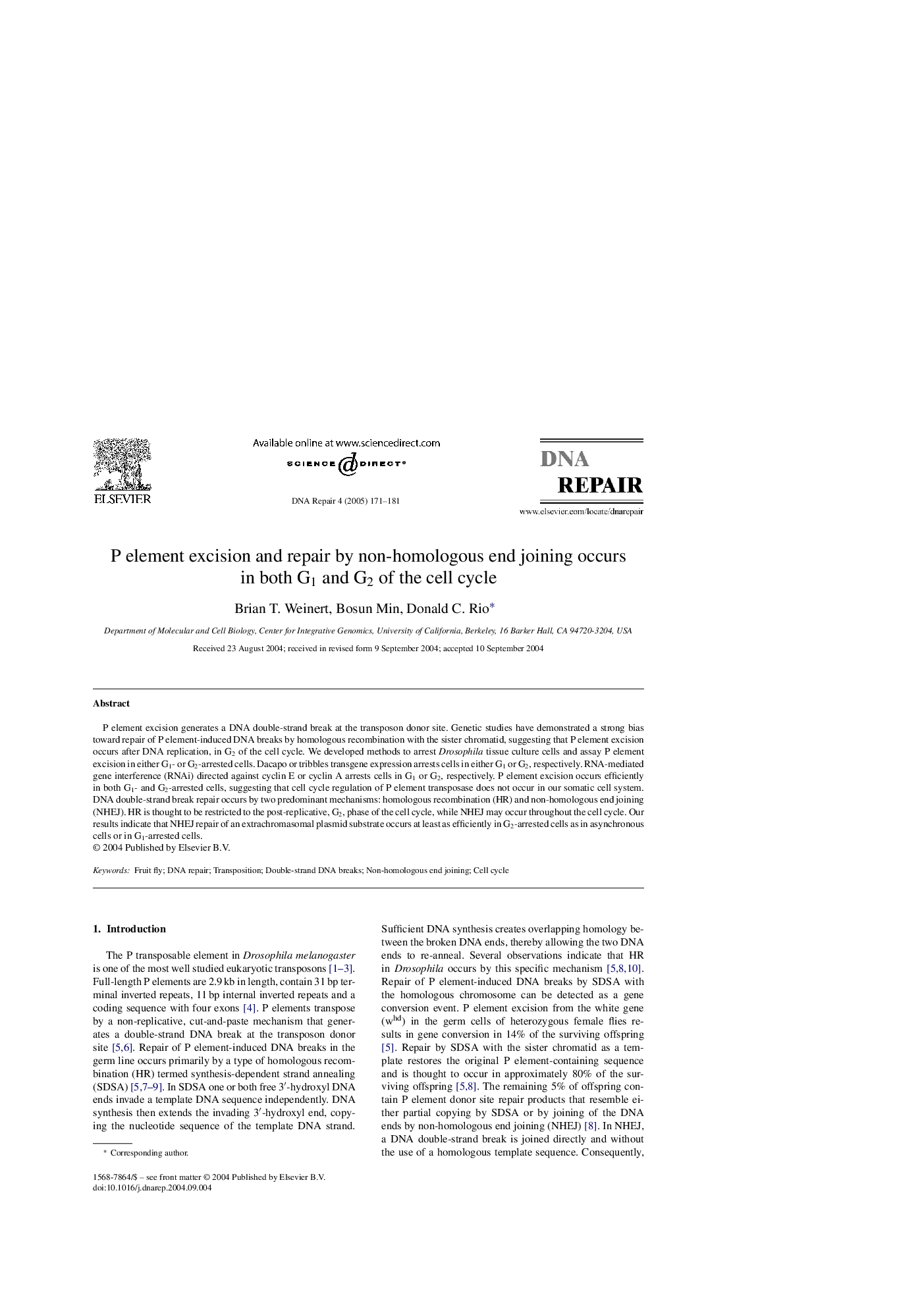 P element excision and repair by non-homologous end joining occurs in both G1 and G2 of the cell cycle