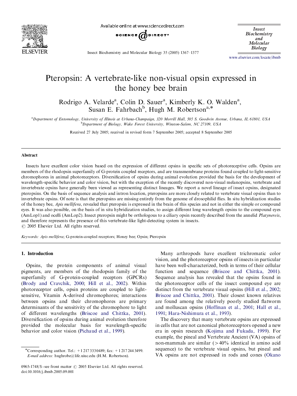 Pteropsin: A vertebrate-like non-visual opsin expressed in the honey bee brain