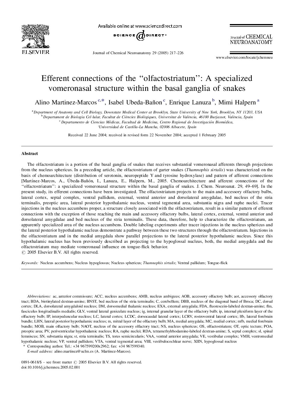 Efferent connections of the “olfactostriatum”: A specialized vomeronasal structure within the basal ganglia of snakes