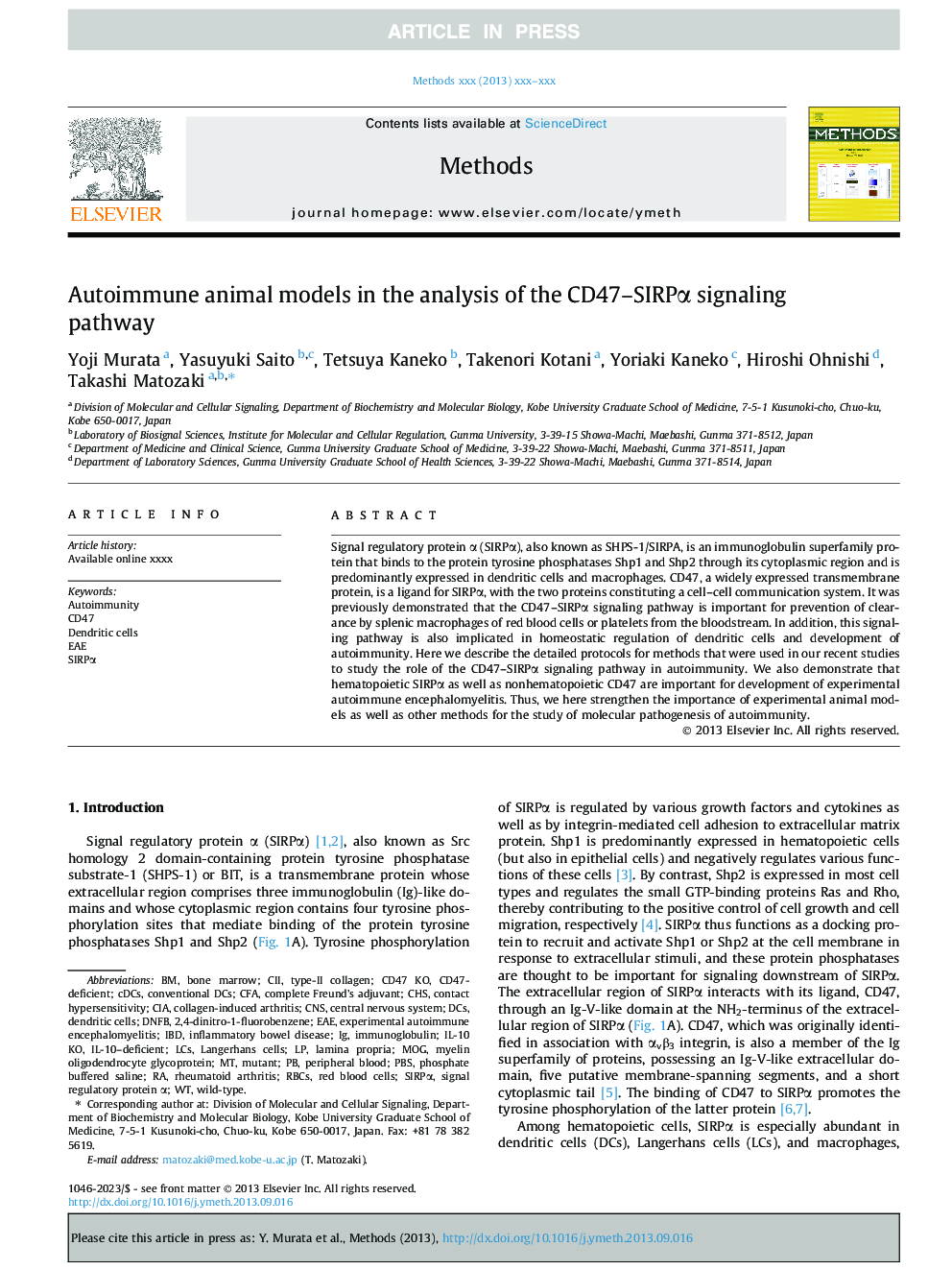 Autoimmune animal models in the analysis of the CD47-SIRPÎ± signaling pathway