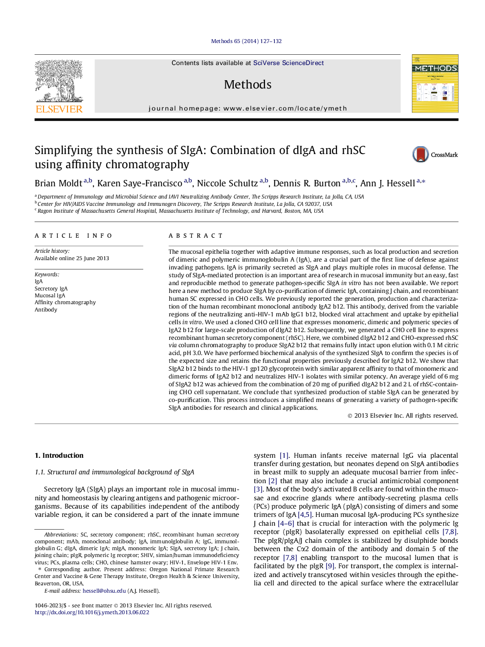 Simplifying the synthesis of SIgA: Combination of dIgA and rhSC using affinity chromatography