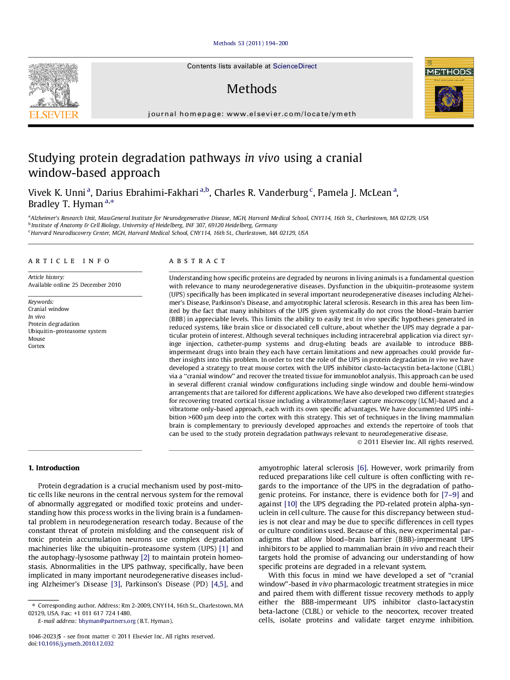 Studying protein degradation pathways in vivo using a cranial window-based approach