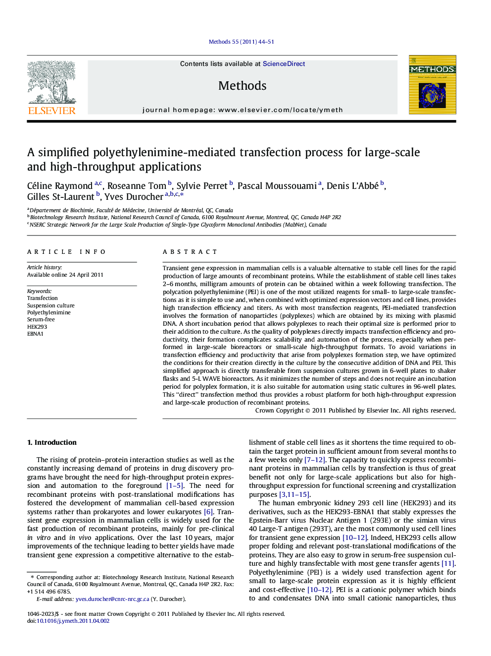 A simplified polyethylenimine-mediated transfection process for large-scale and high-throughput applications