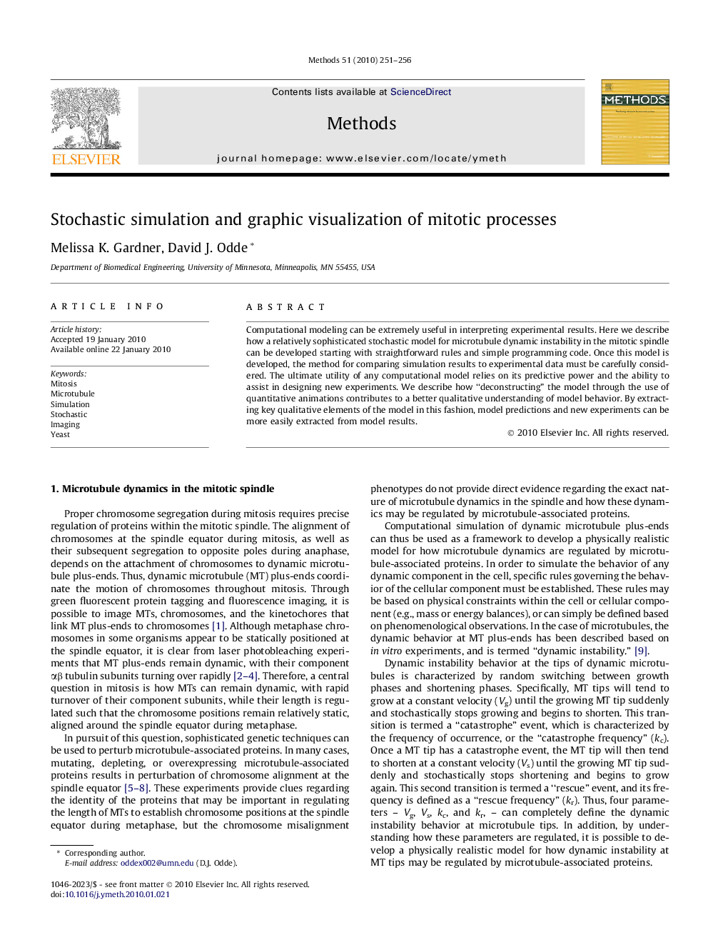 Stochastic simulation and graphic visualization of mitotic processes