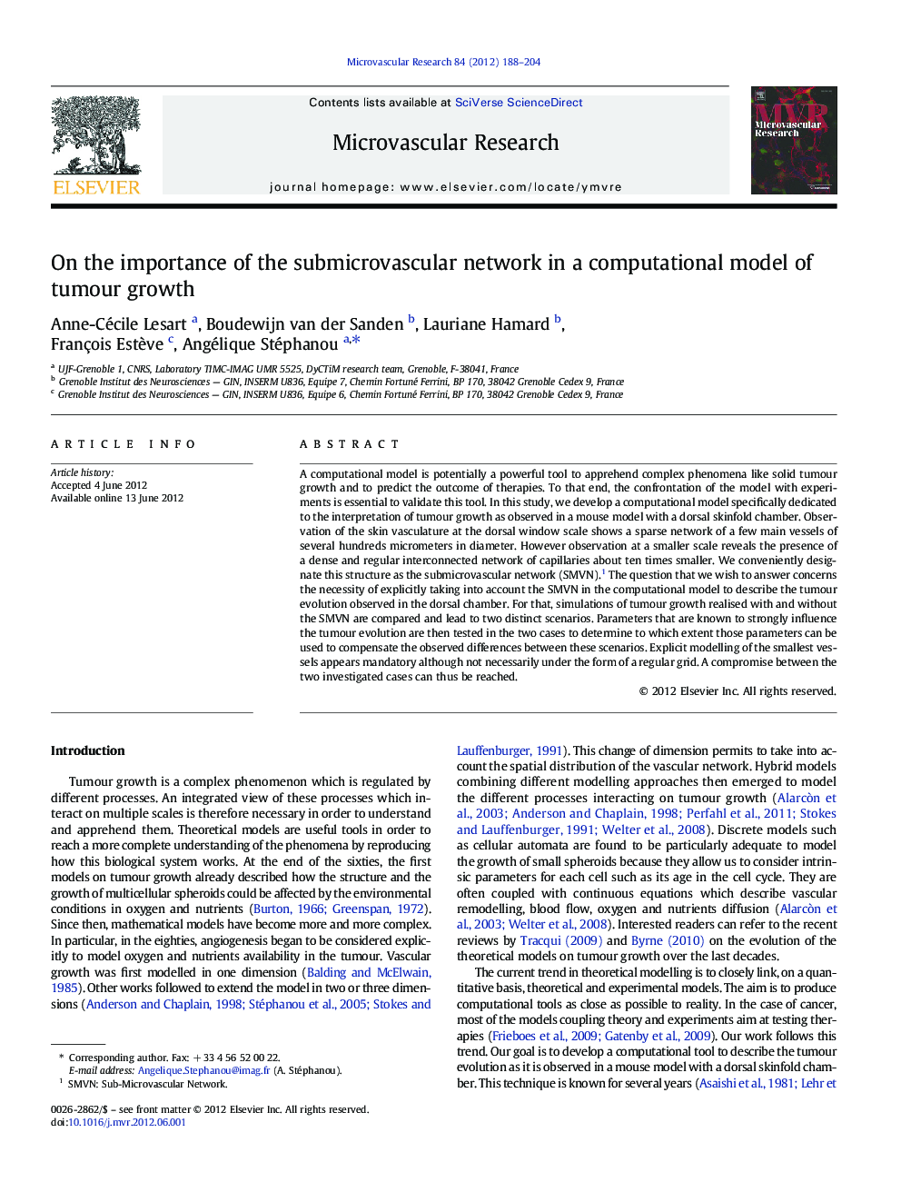 On the importance of the submicrovascular network in a computational model of tumour growth