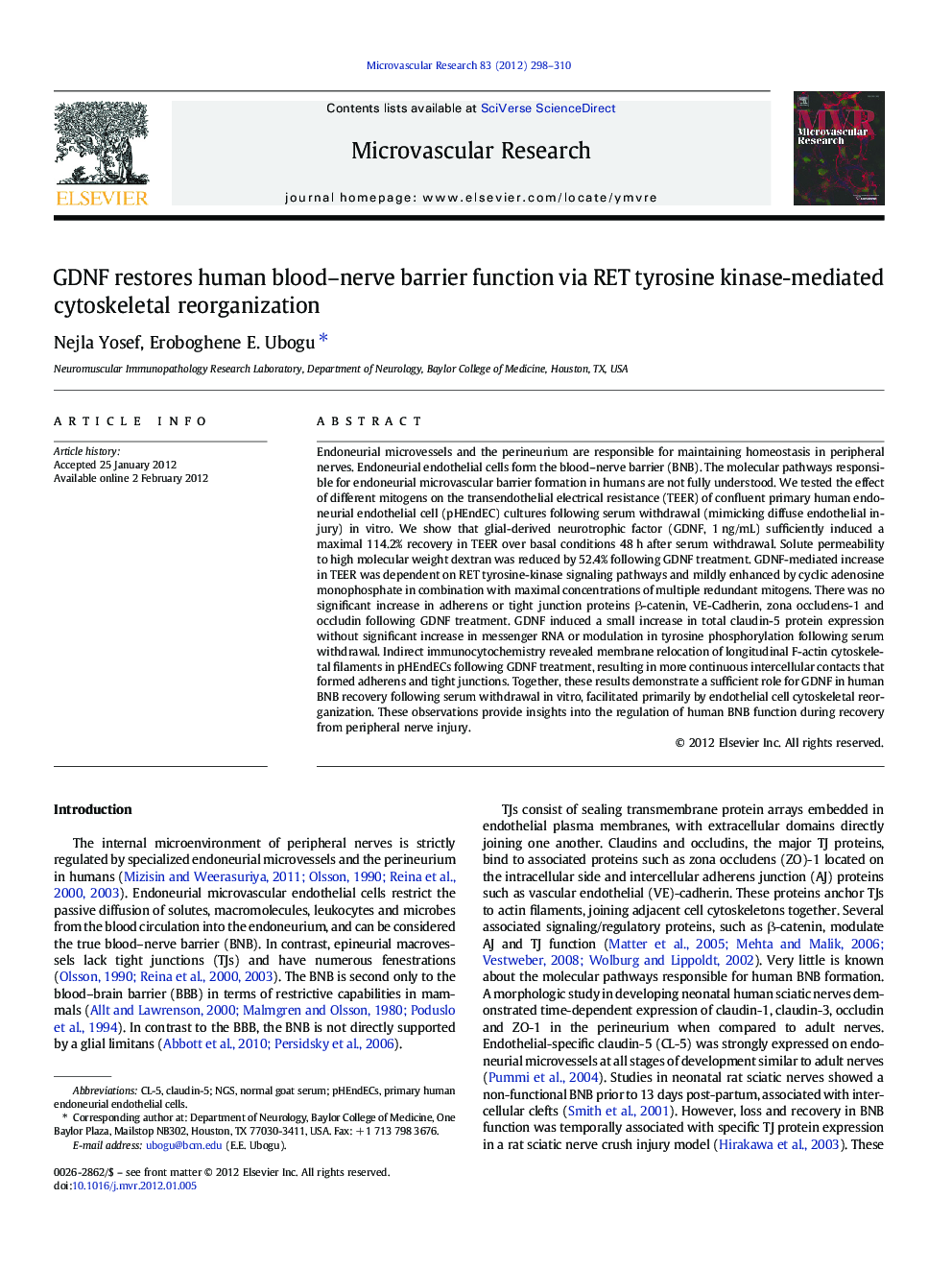 GDNF restores human blood-nerve barrier function via RET tyrosine kinase-mediated cytoskeletal reorganization