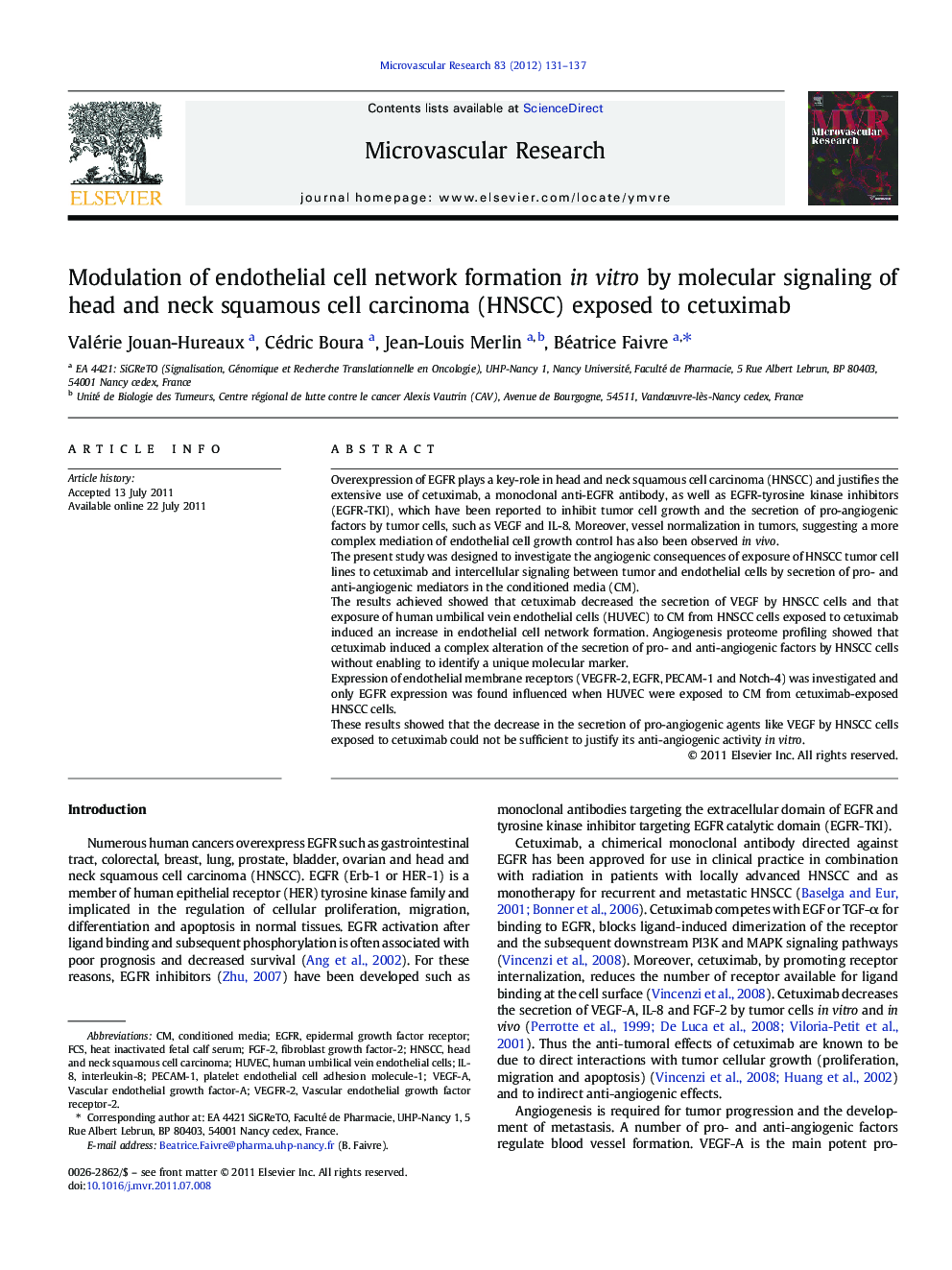 Modulation of endothelial cell network formation in vitro by molecular signaling of head and neck squamous cell carcinoma (HNSCC) exposed to cetuximab