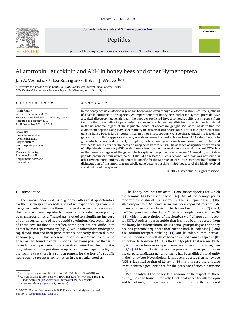 Allatotropin, leucokinin and AKH in honey bees and other Hymenoptera