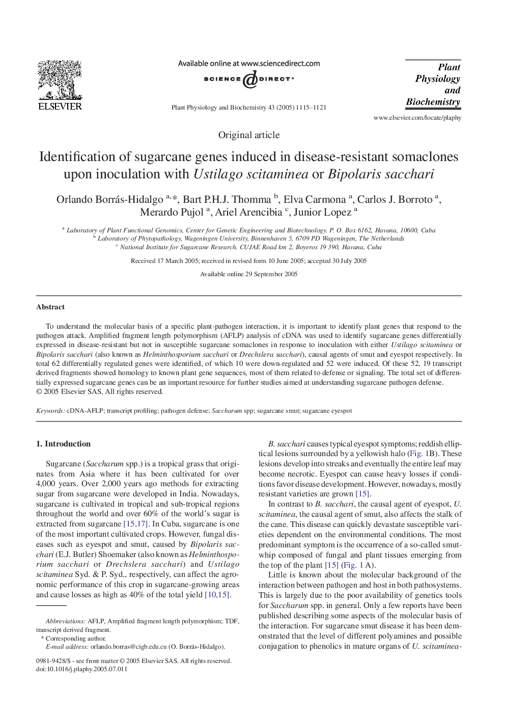 Identification of sugarcane genes induced in disease-resistant somaclones upon inoculation with Ustilago scitaminea or Bipolaris sacchari