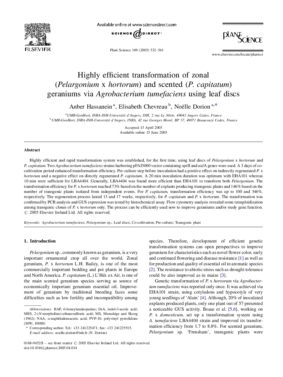 Highly efficient transformation of zonal (Pelargonium x hortorum) and scented (P. capitatum) geraniums via Agrobacterium tumefaciens using leaf discs