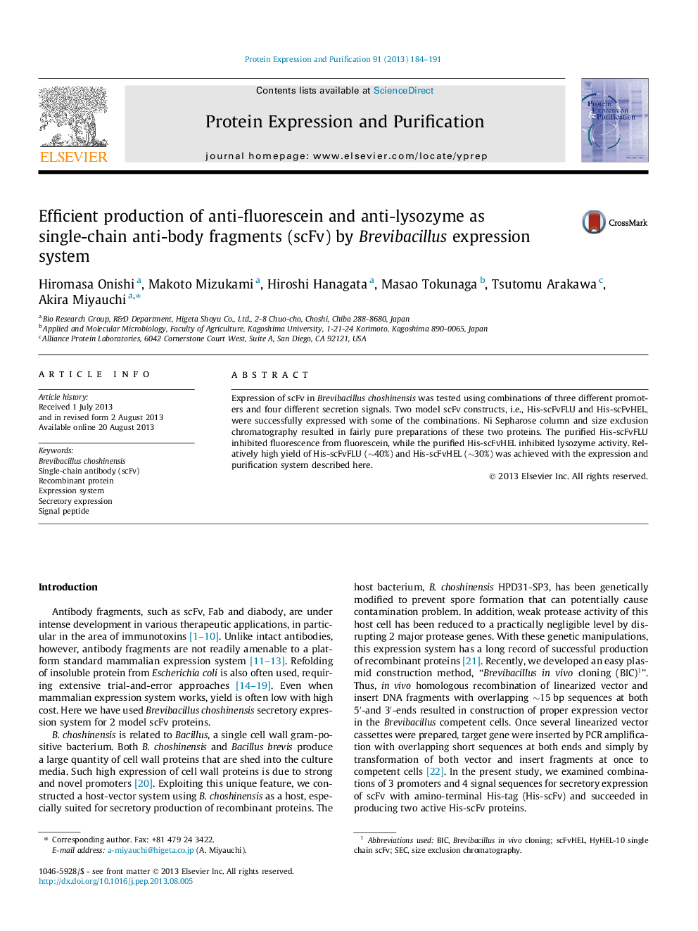 Efficient production of anti-fluorescein and anti-lysozyme as single-chain anti-body fragments (scFv) by Brevibacillus expression system