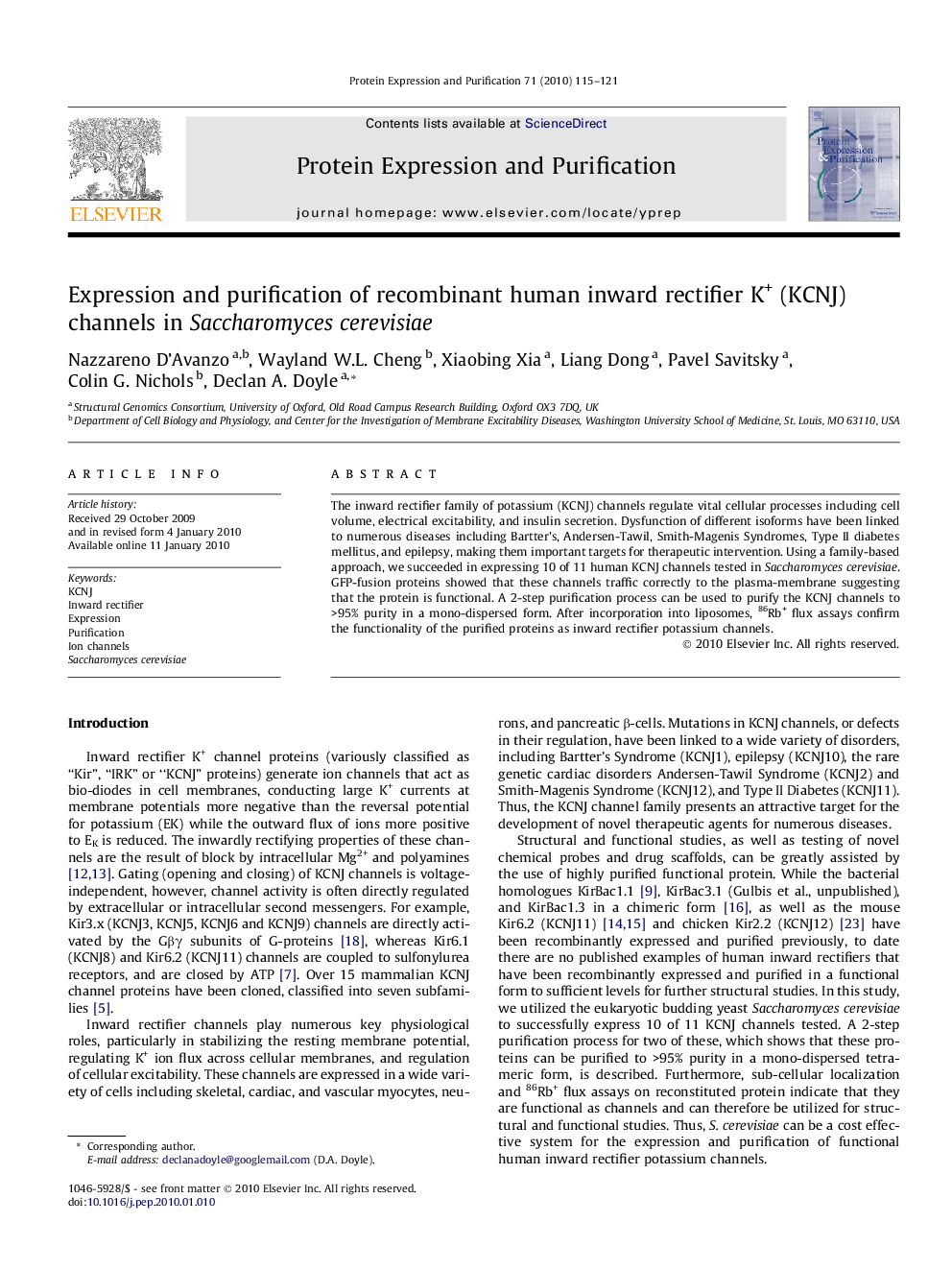 Expression and purification of recombinant human inward rectifier K+ (KCNJ) channels in Saccharomyces cerevisiae