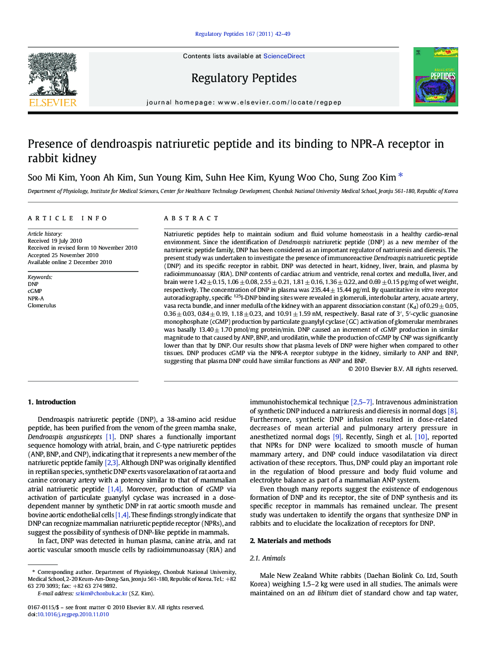 Presence of dendroaspis natriuretic peptide and its binding to NPR-A receptor in rabbit kidney