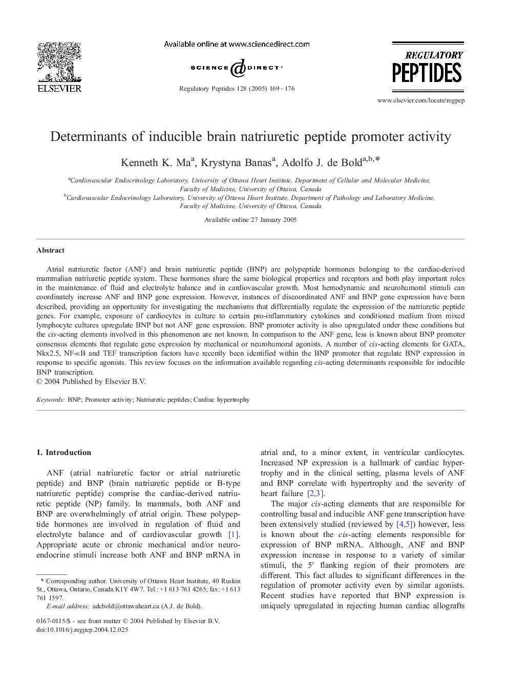 Determinants of inducible brain natriuretic peptide promoter activity