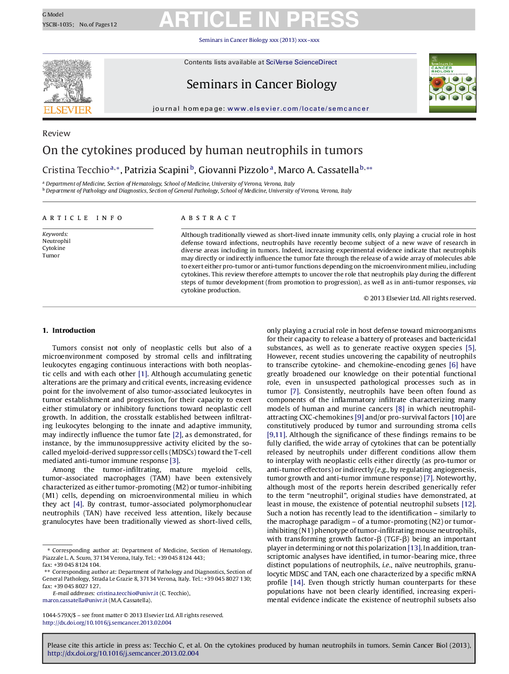 On the cytokines produced by human neutrophils in tumors