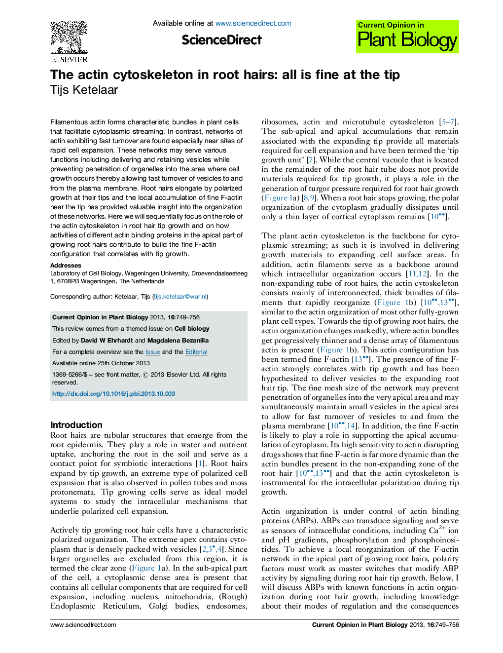 The actin cytoskeleton in root hairs: all is fine at the tip