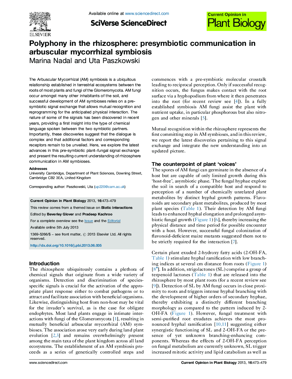 Polyphony in the rhizosphere: presymbiotic communication in arbuscular mycorrhizal symbiosis