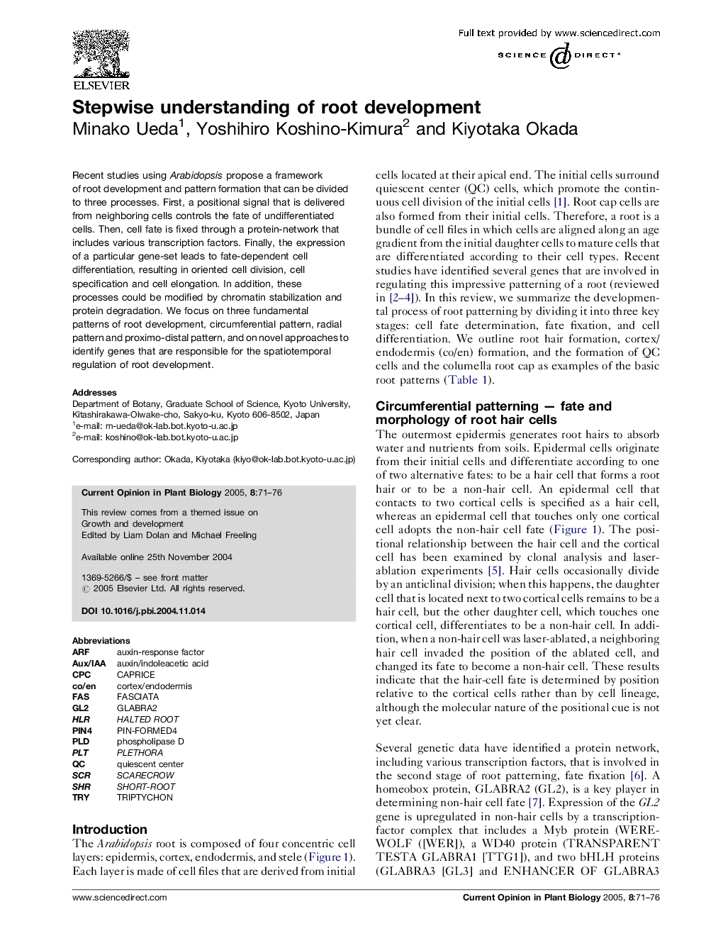 Stepwise understanding of root development