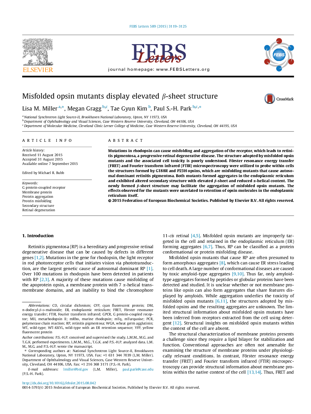 Misfolded opsin mutants display elevated Î²-sheet structure