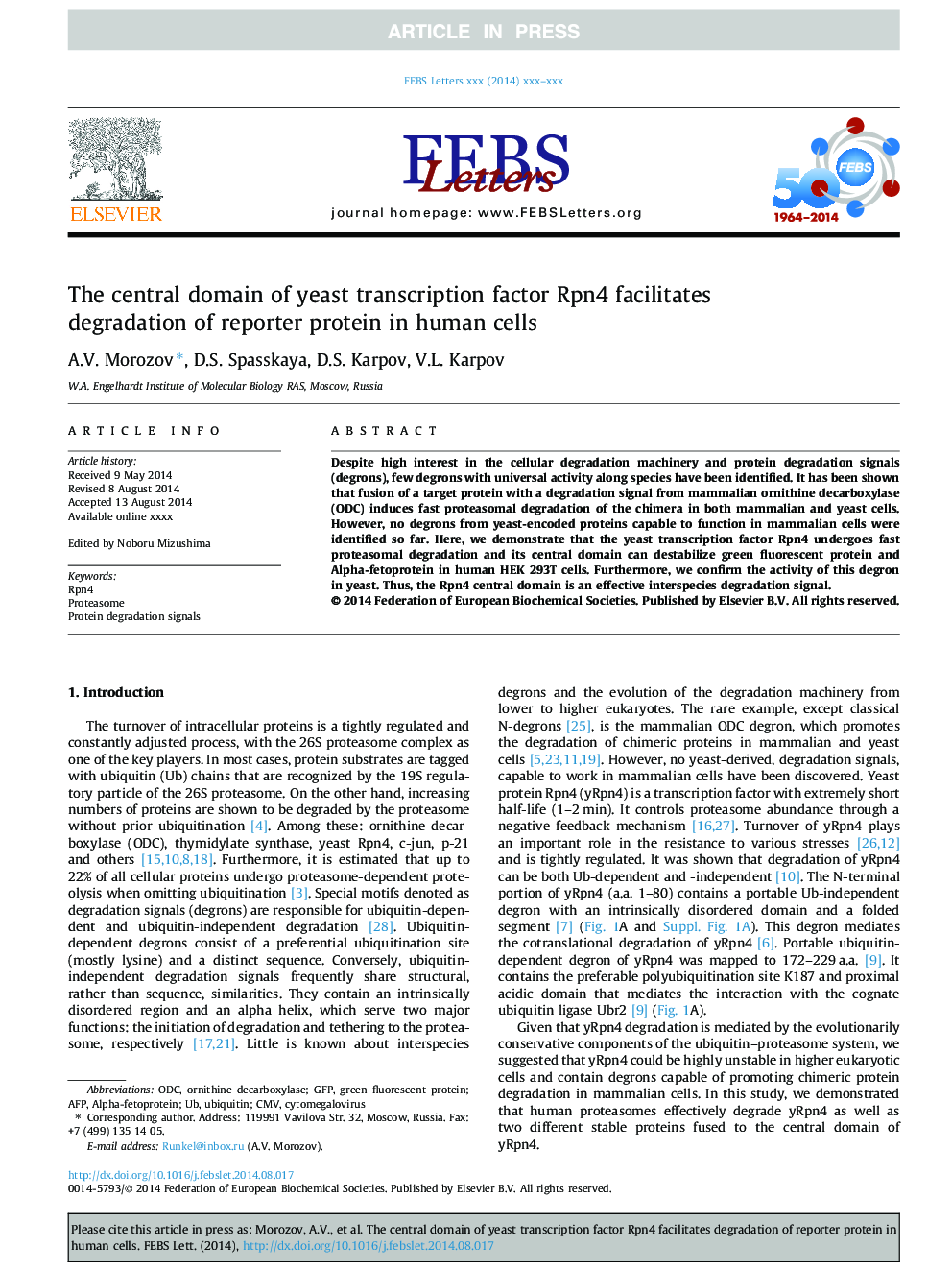 The central domain of yeast transcription factor Rpn4 facilitates degradation of reporter protein in human cells